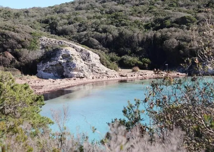 Villa Di A Cappana-villa Vincent *